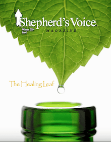 Shepherds Voice Magazine Winter 2014