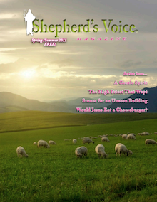 Shepherds Voice Magazine Spring/Summer 2011